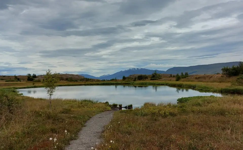 Hundatjorn