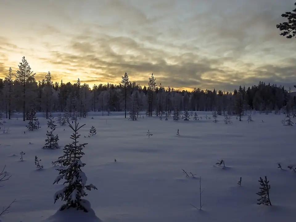 Sunset In Winter Wonderland (241499495)