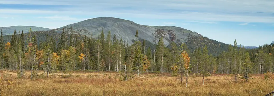 Kesänki from Luontokeskus Kellokas, 2018 September