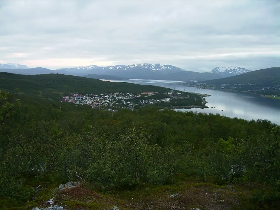 Picture of Solneset